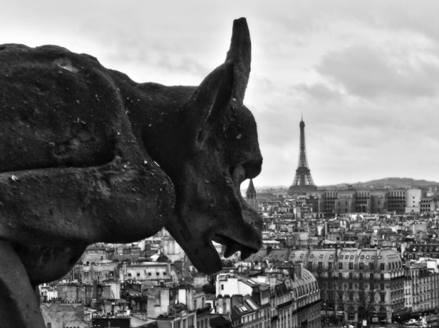 SAMSUNG DIGITAL CAMERA